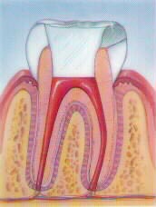 istanbul, kadıköy, moda, diş, diş hekimi, dişçi, diş doktoru, diş hastanesi, diş kliniği, randevu, ağız sağlığı, diş sağlığı, ağız ve diş sağlığı, diş tedavisi, porselen diş, diş kaplama, kaplama diş, lamina diş, lamine diş, diş beyazlatma, diş parlatma, implant diş, takma diş, gülüş estetiği, diş estetiği, dolgu diş, diş dolgusu, diş eti çekilmesi, diş eti kanaması, diş eti iltihabı, diş iltihabı, diş apse, diş eti tedavisi, kanal tedavisi, çocuk diş, süt dişleri, süt dişi, ortodonti, diş teli, diş protez, protez diş, zirkonyum diş, çene cerrahisi, diş muayene, diş bakımı, diş lekeleri, kırık diş, diş kırıkları, aralık dişler, çarpık diş, diş taşı temizliği, diş taşı temizleme, tartar temizliği, tartar temizleme, diş gıcırdatma, diş çürüğü, köprü diş, azı dişi, çürük diş, diş ağrısı, köpek dişi
